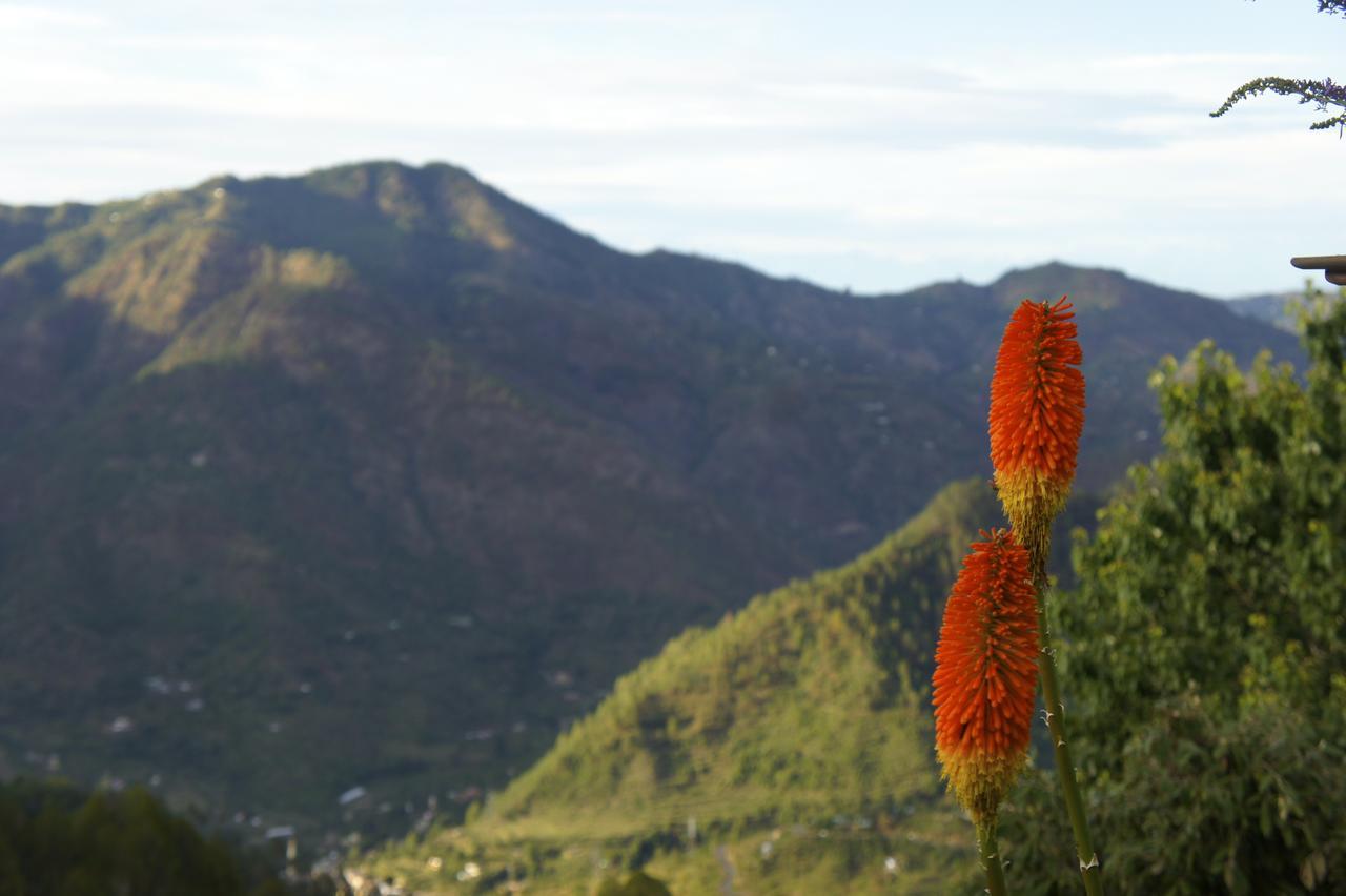 The Ramgarh Retreat Rāmgarh Zewnętrze zdjęcie